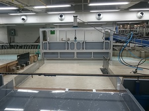 Perangkat Gelombang Planar Wave Device HWT-3000