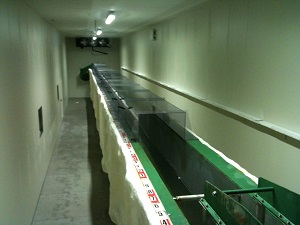 Tangki Uji Gelombang Es / Perangkat Lingkungan Ice Wave Test Tank / Environmental Device WIT-20