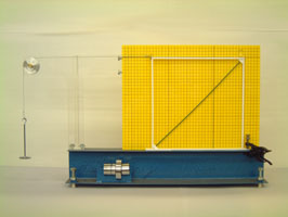 Peralatan Eksperimen Bingkai Frame Experimental Equipment